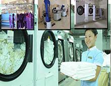 he1bb87the1bb91nggie1bab7t-62